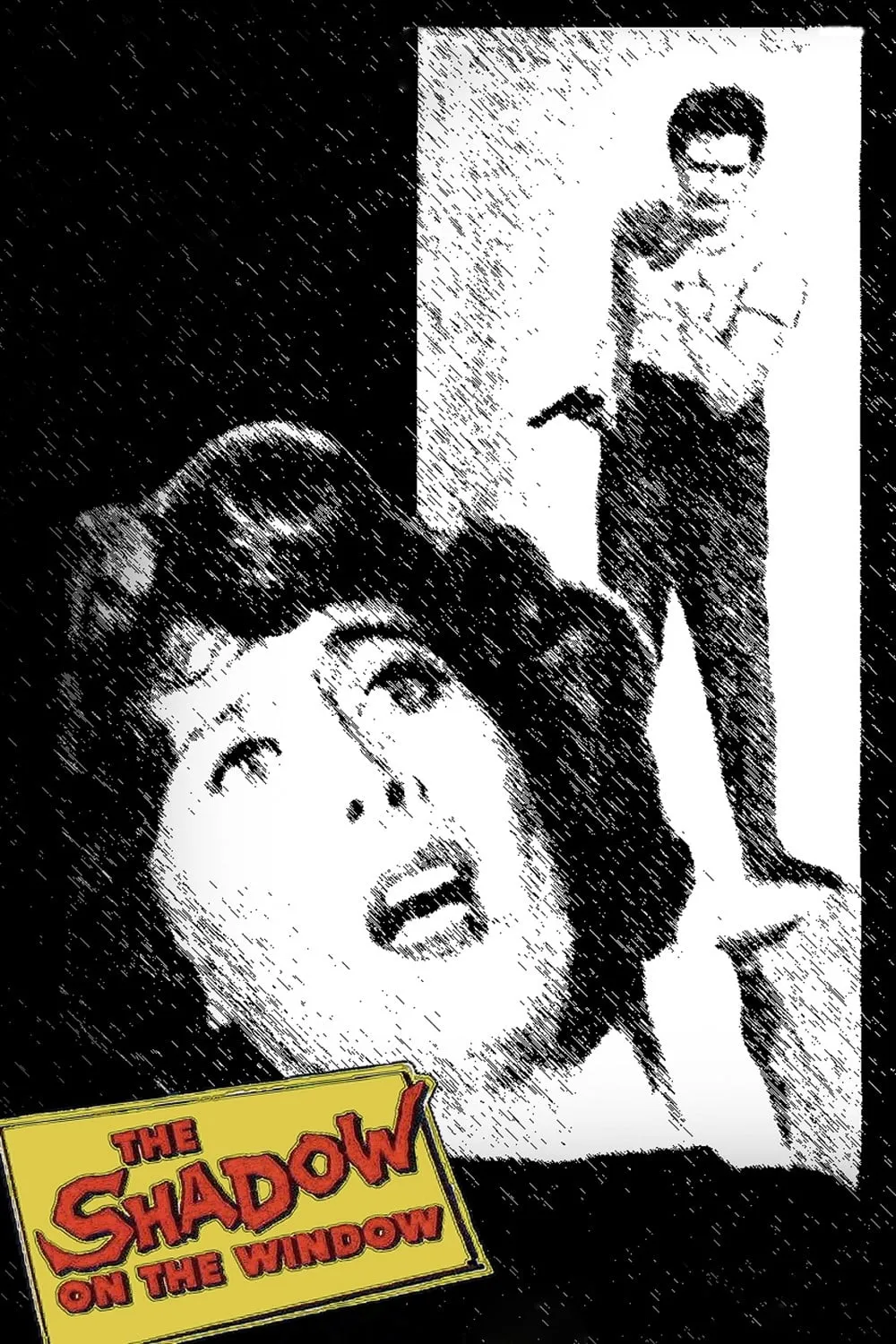 Shadow on the Window poster