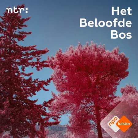 Podcasttegel van Het beloofde bos