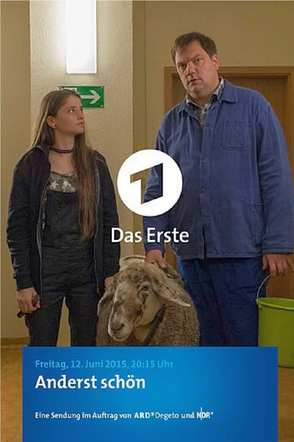 Anderst schön poster