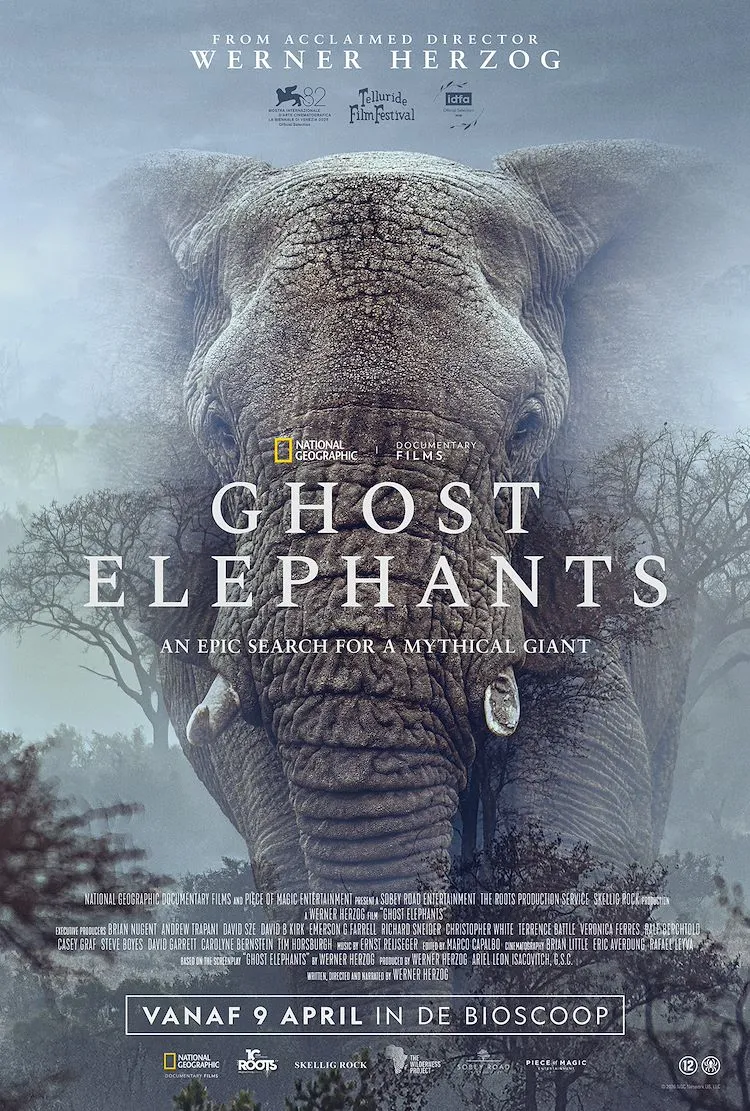 Ghost Elephants poster