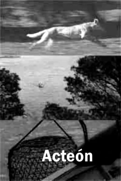 Acteón poster