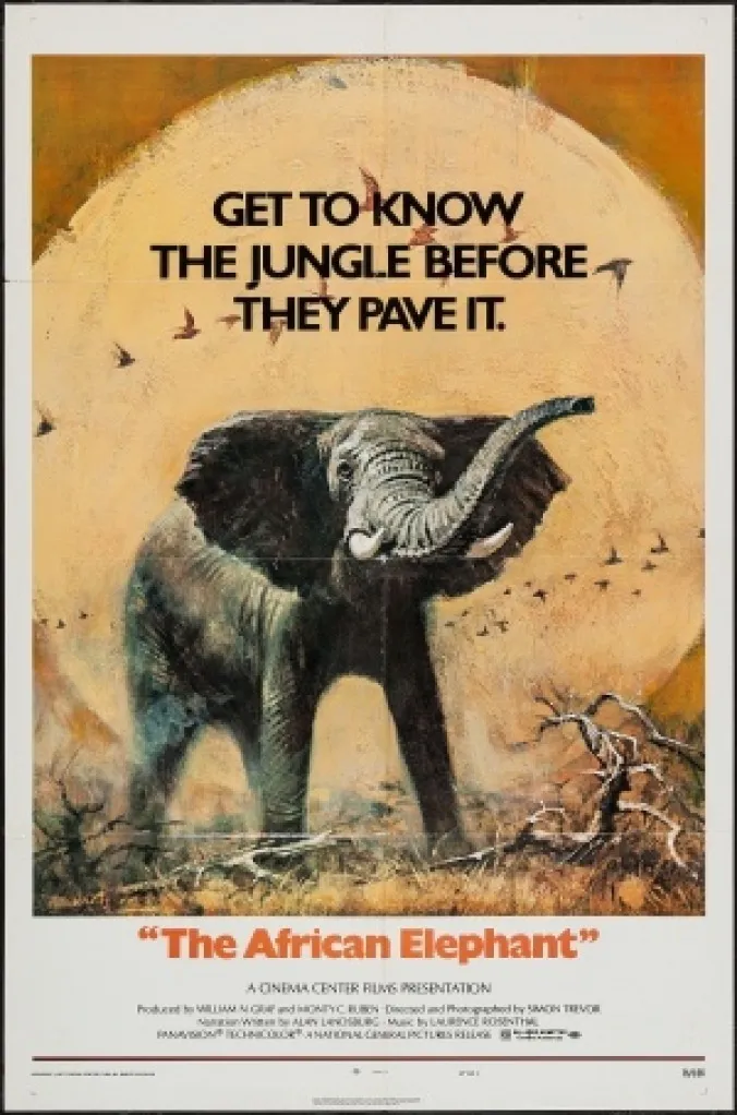 The African Elephant poster