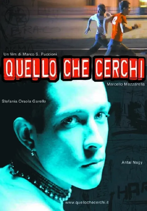 Quello Che Cerchi poster
