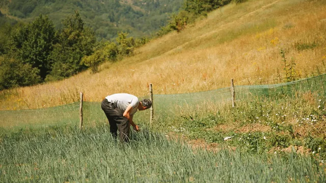 VERGEEF ONZE SCHULDEN - Mustafa