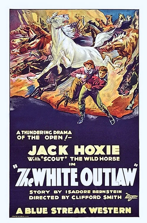 The White Outlaw poster