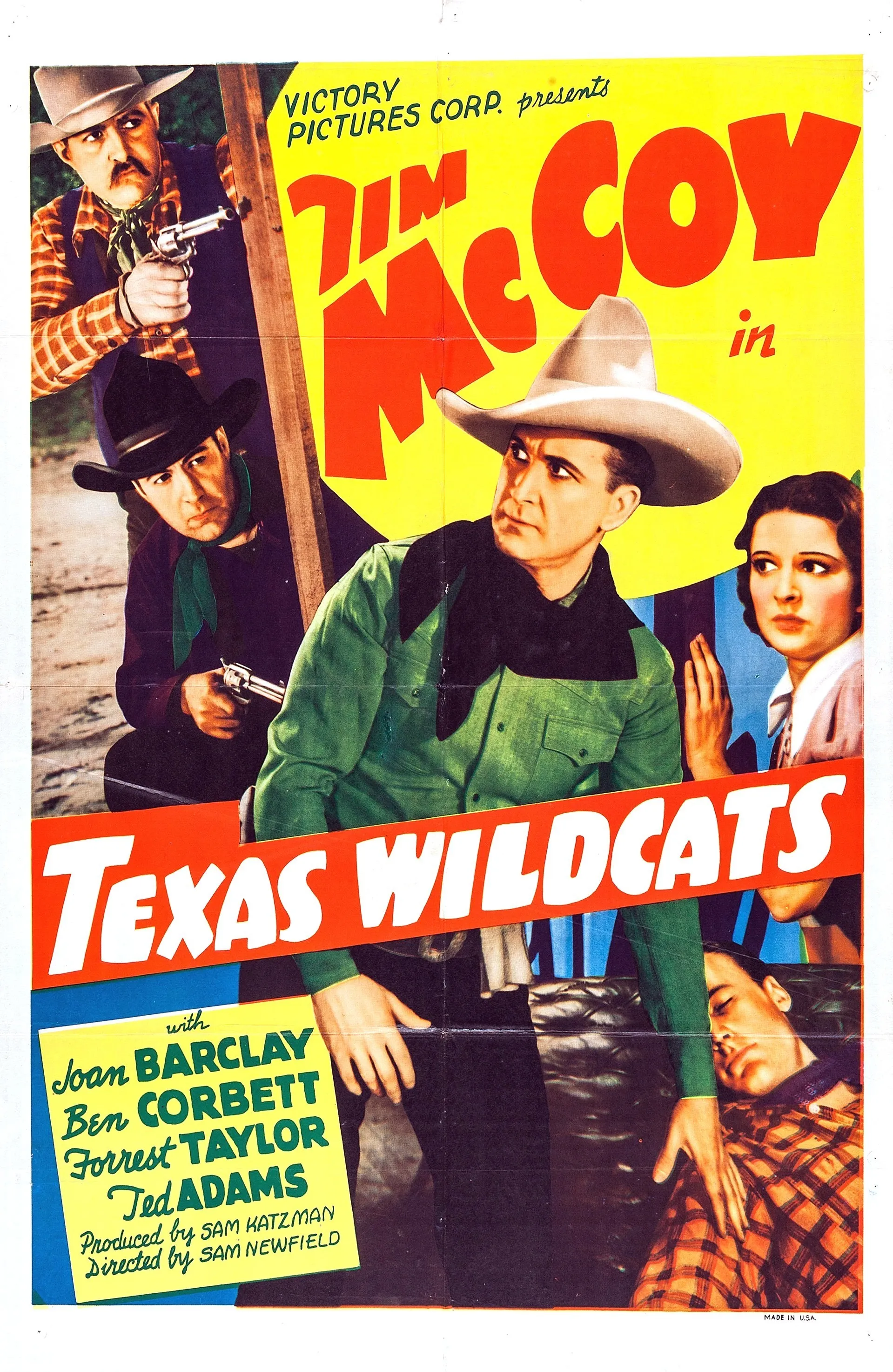 Texas Wildcats poster