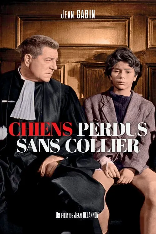 Chiens perdus sans collier poster