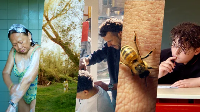 Een collage van vijf scènes uit de documentaireserie Ongeschreven Regels: een vrouw onder de douche, een wandelaar in een bos, een vader die het haar van zijn zoon knipt, een bij op een hand en een kind dat nadenkend aan een tafel zit.