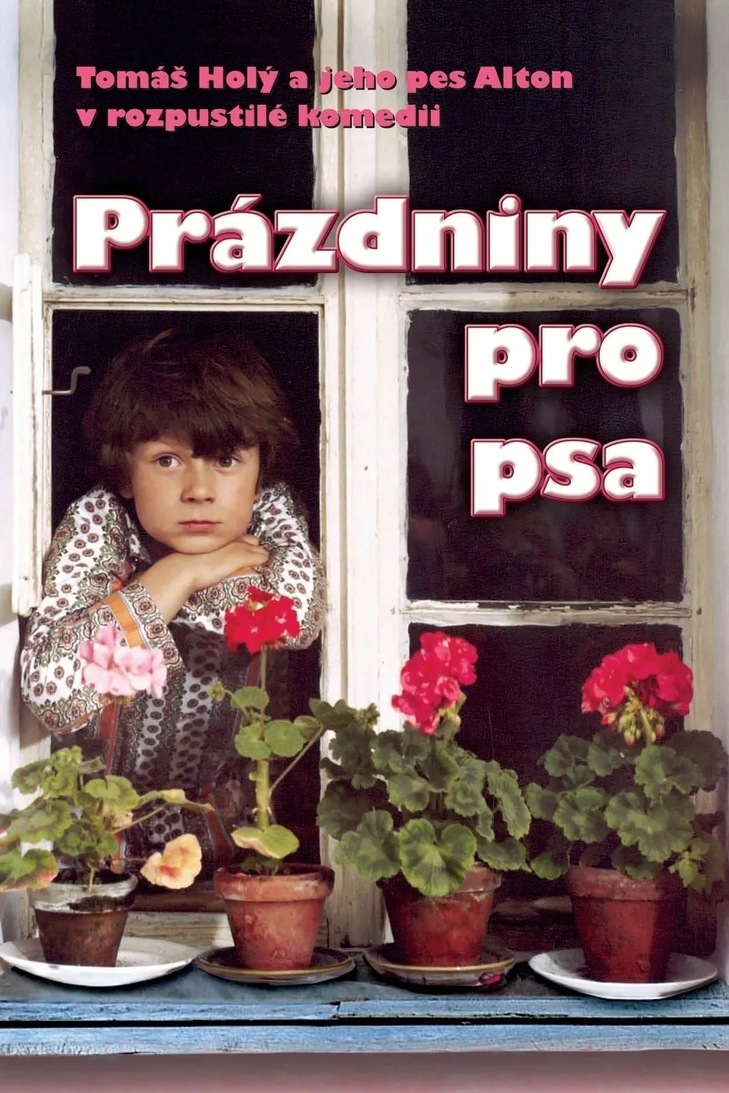 Prazdniny pro psa poster