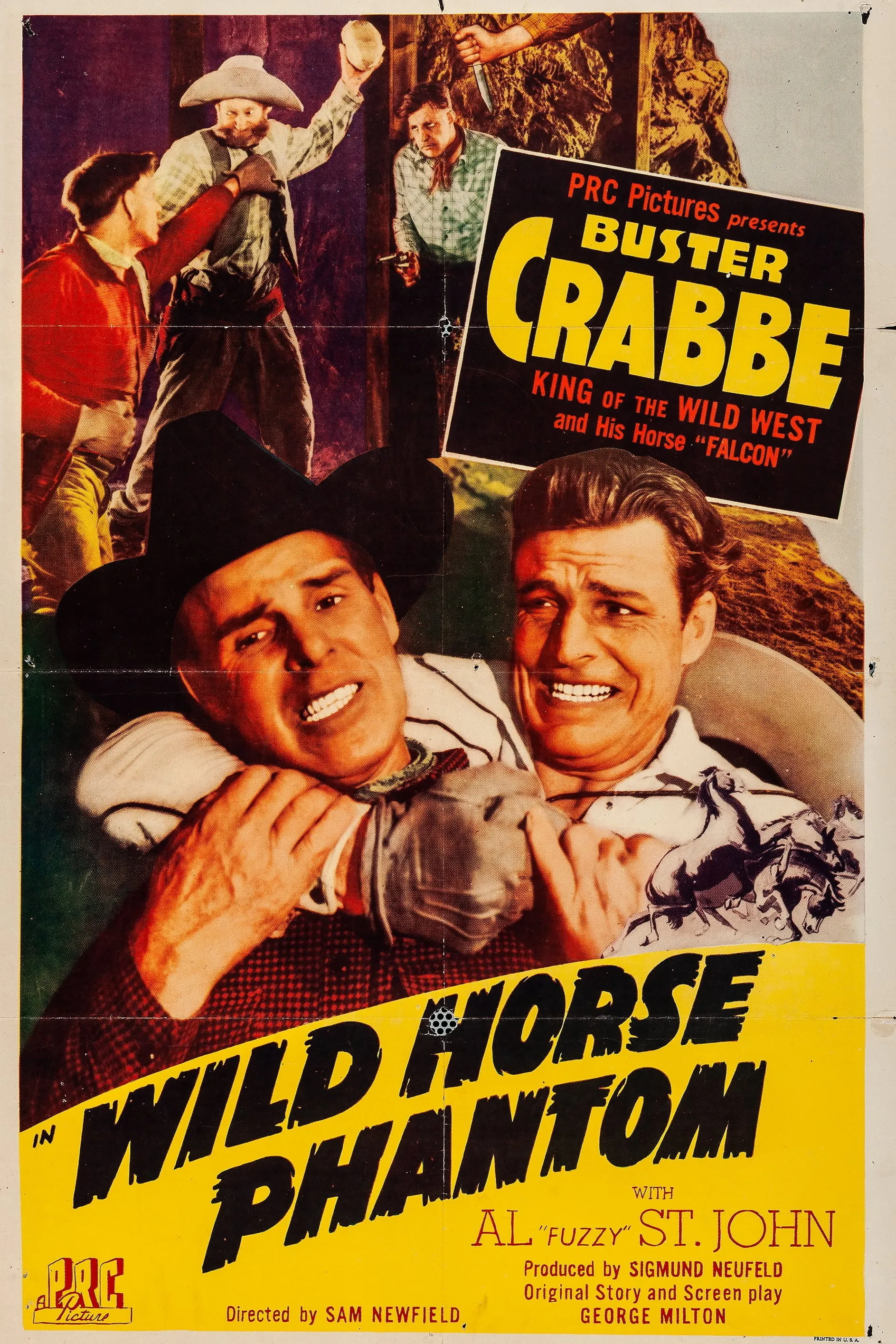 Wild Horse Phantom poster