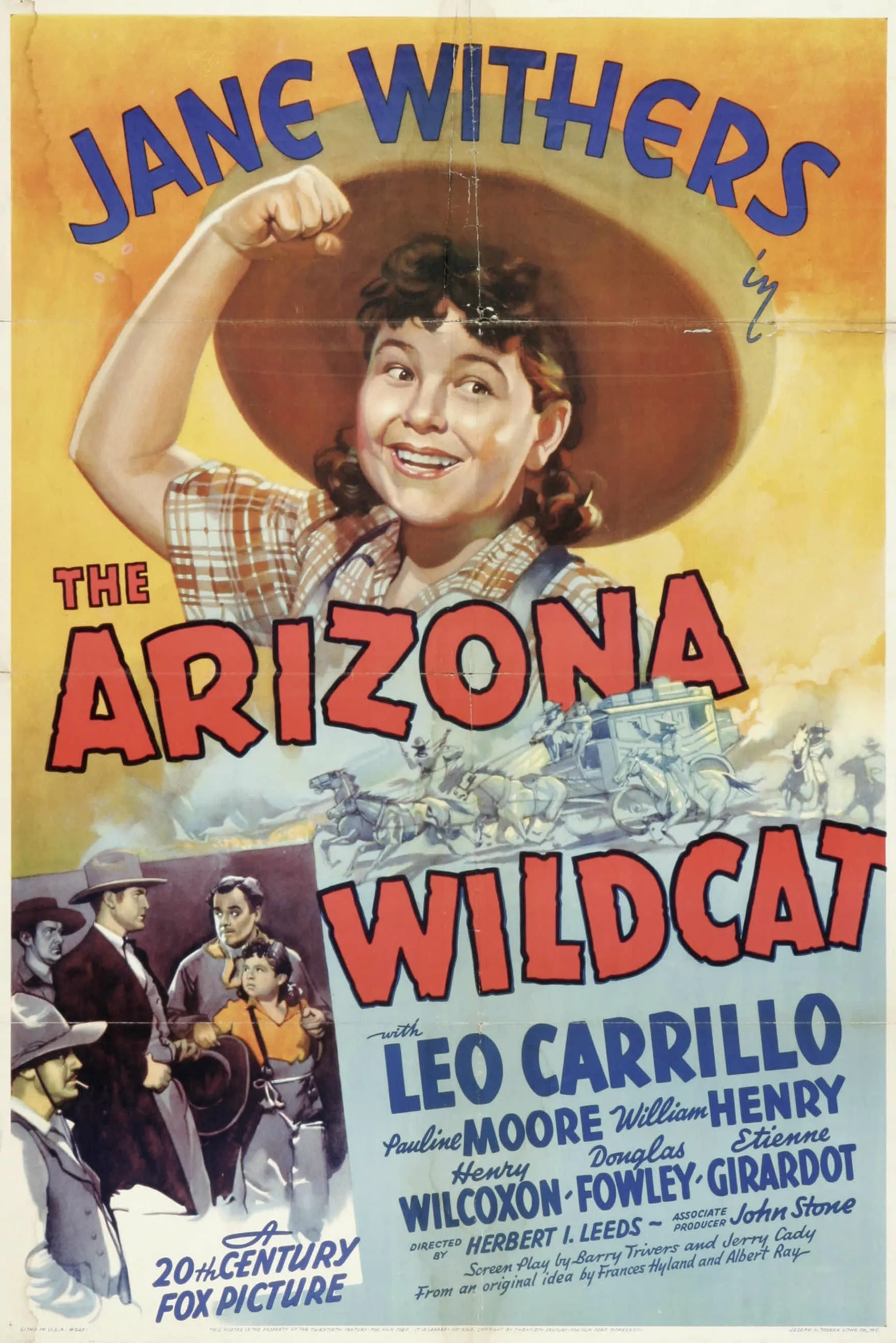 The Arizona Wildcat poster