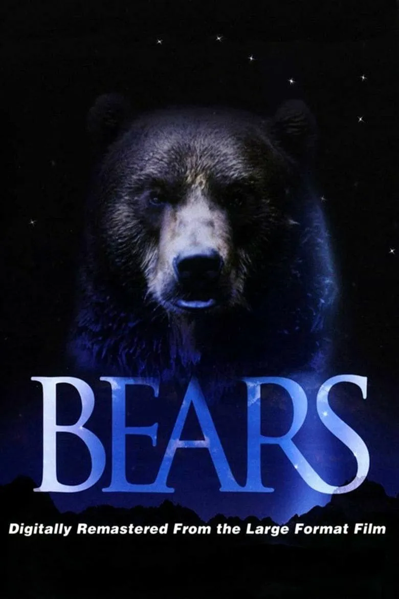 Bears poster