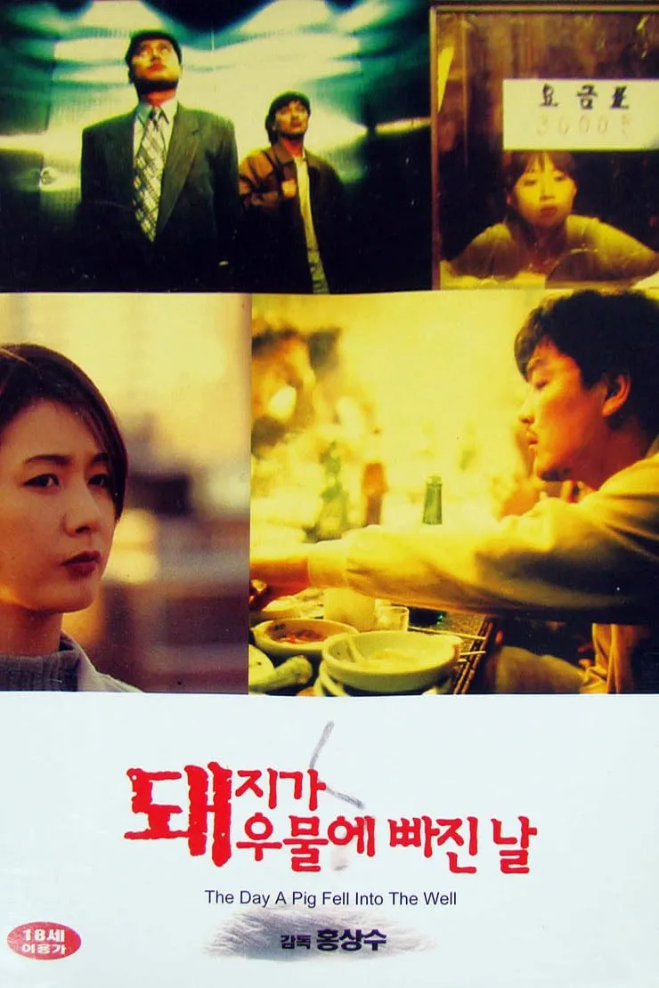 The Day a Pig Fell Into the Well poster