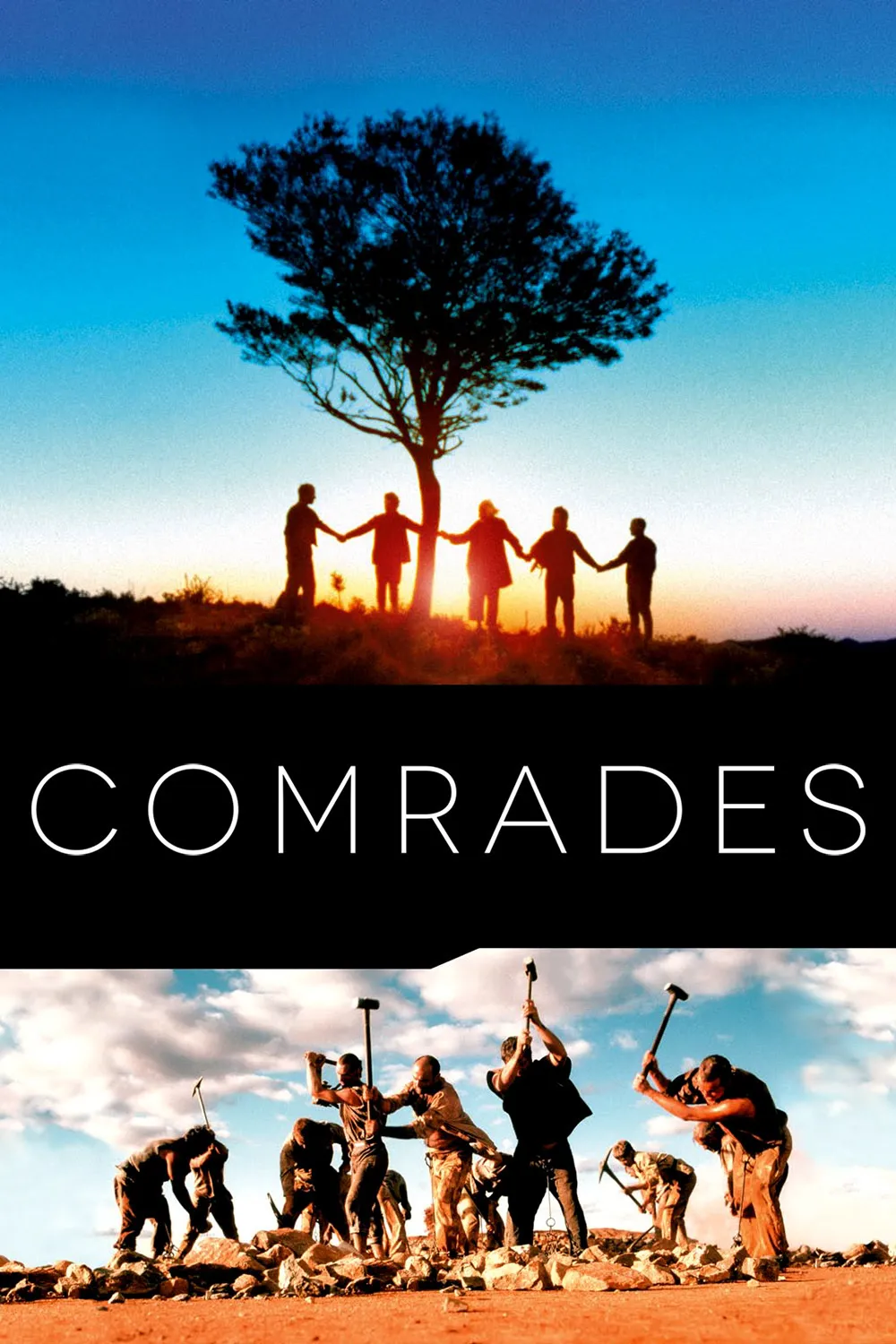 Comrades poster