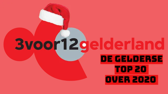 de Gelderse top 20 over 2020
