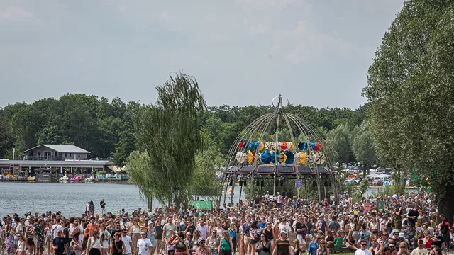 Down The Rabbit Hole