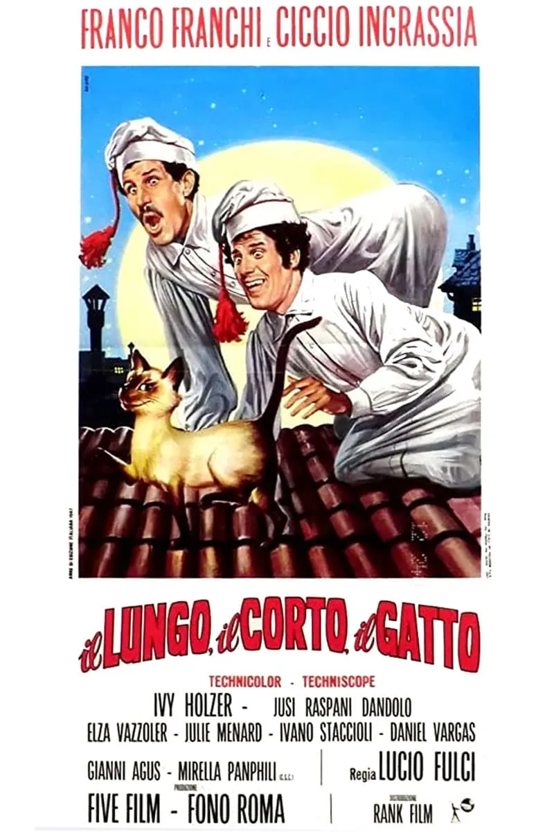 Il lungo il corto il gatto poster