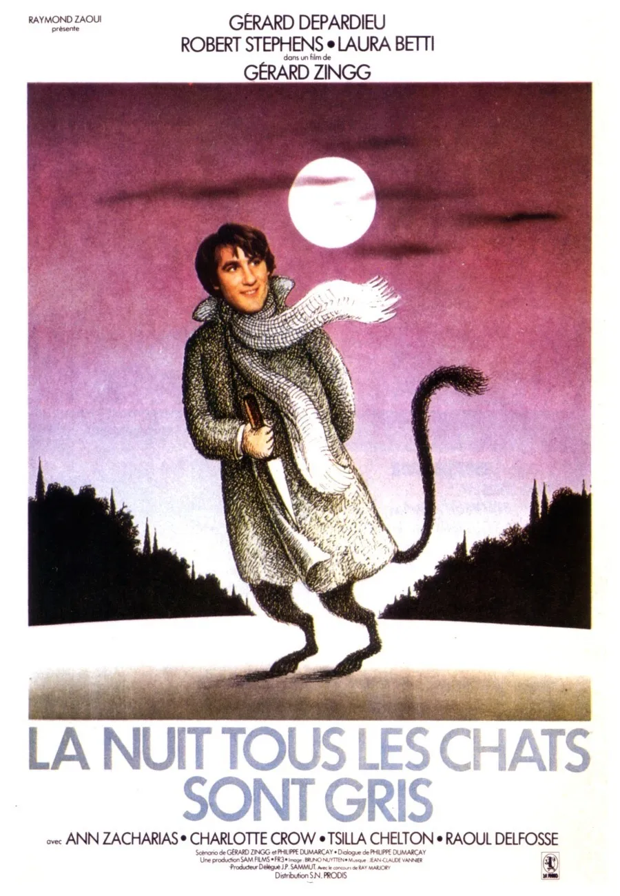 La Nuit tous les chats sont gris poster
