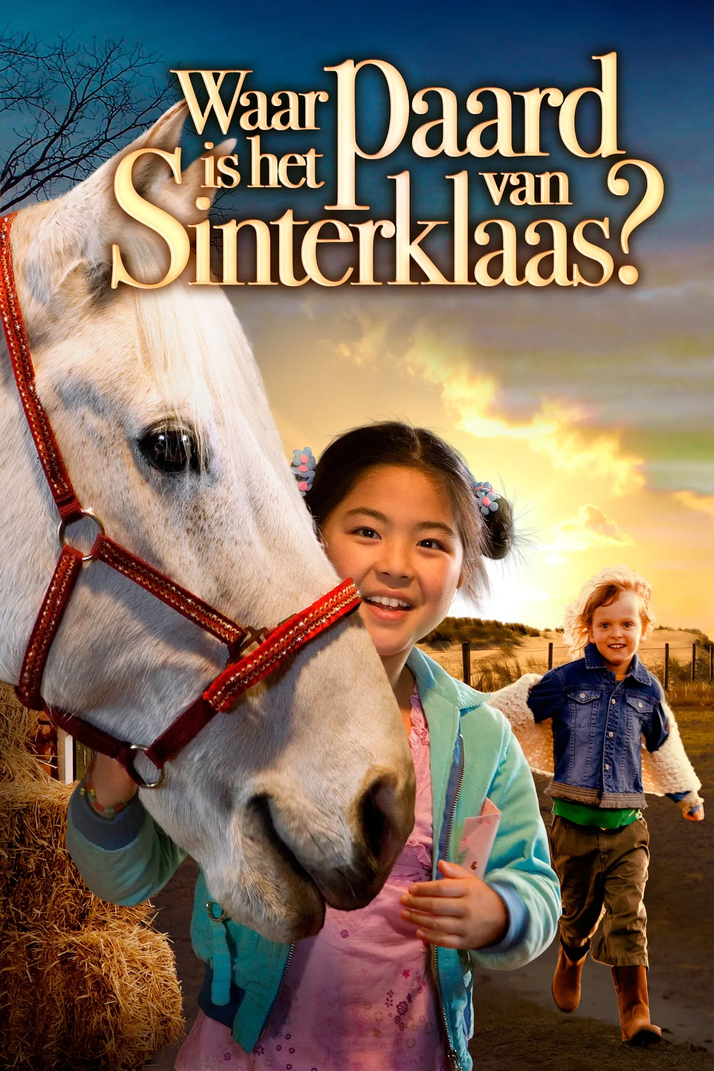 Waar is het paard van Sinterklaas? poster