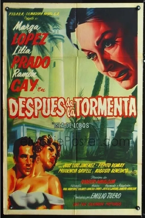 Después de la tormenta poster