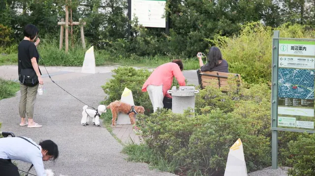 In een groen park in Japan zijn meerdere mensen met kleine honden. Links staat een persoon met een lichte huid en zwart haar met twee honden aan de lijn, een witte en een bruine poedel. Op de voorgrond buigt iemand zich over een wit hondje. Bij een bankje zit een persoon met grijs haar die een foto maakt, terwijl iemand in een roze shirt vooroverbuigt. Rechts staat een informatiebord met Japanse tekst.
