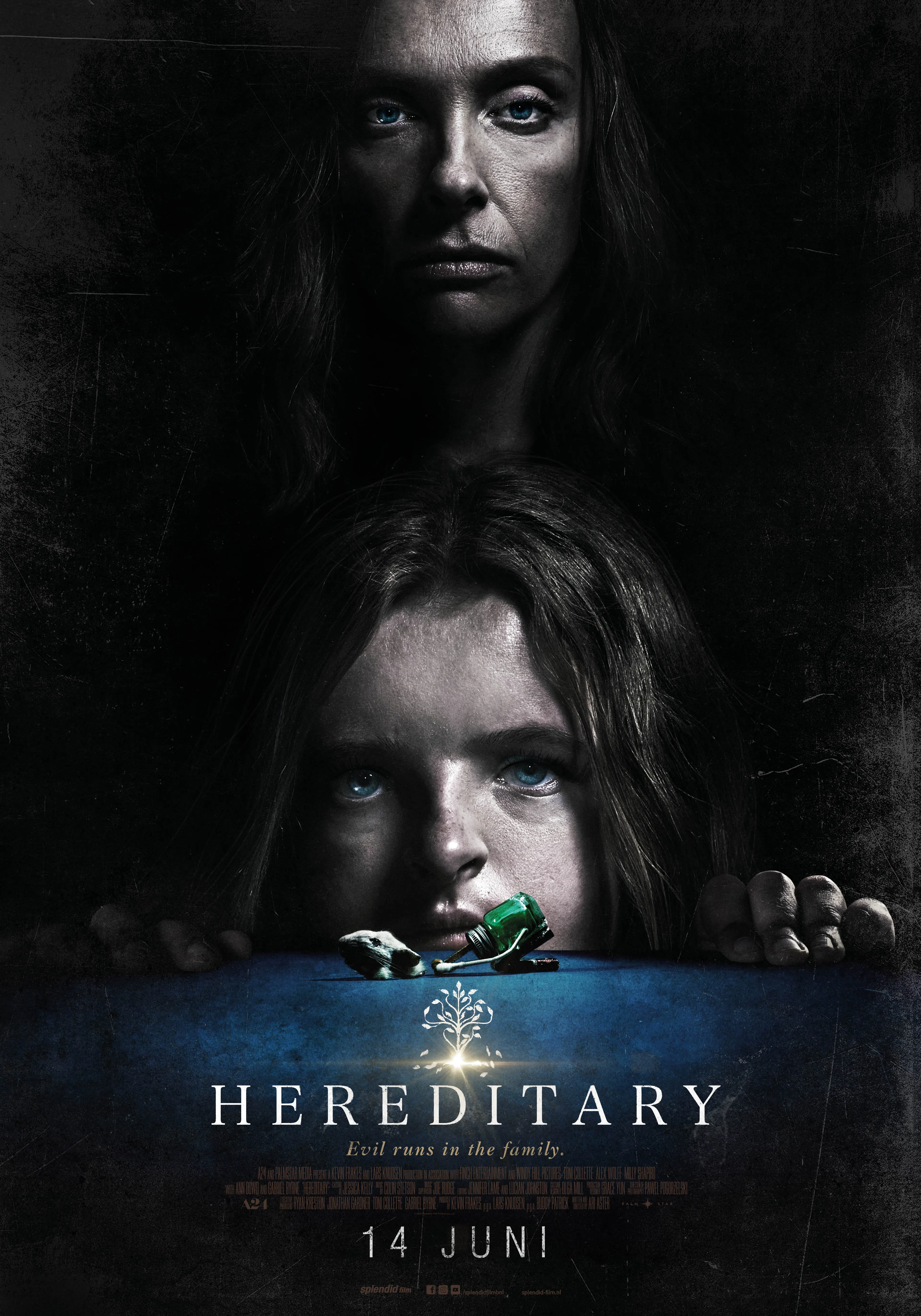 Hereditary poster