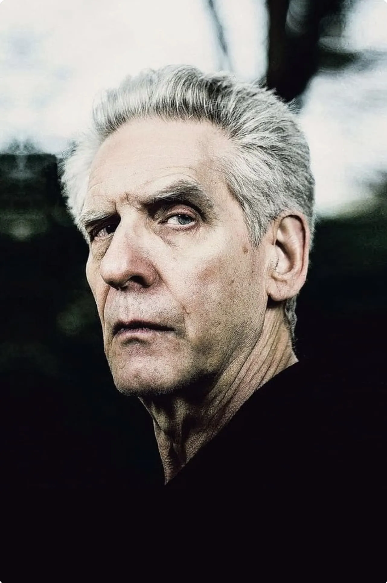 David Cronenberg: I Have to Make The Word Be Flesh poster