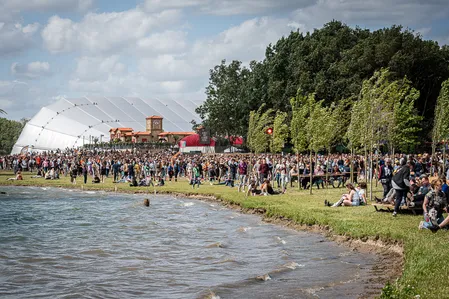 Down The Rabbit Hole