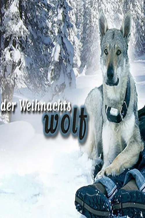 Der Weihnachtswolf poster