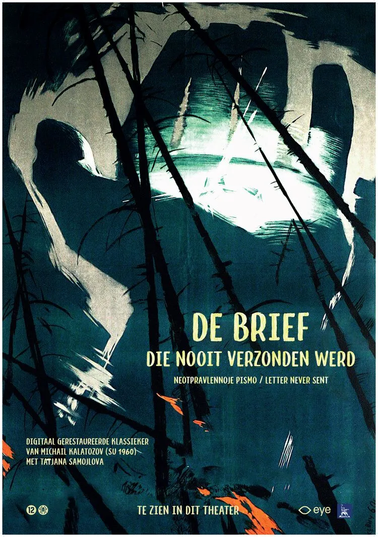 De brief die nooit verzonden werd poster