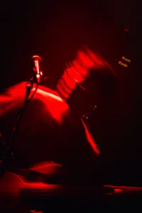 Feral