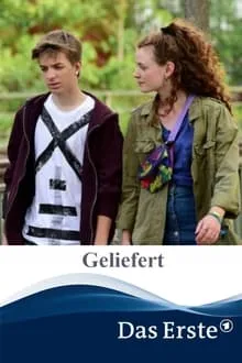 Geliefert poster