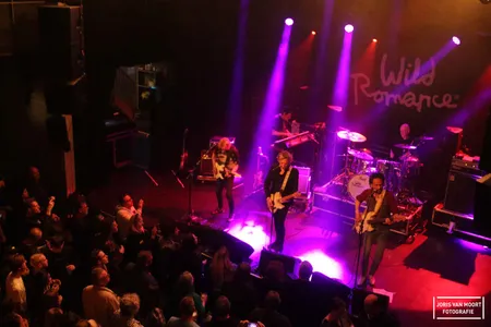 Wild Romance