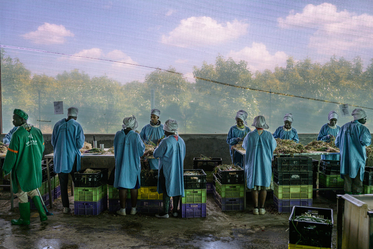 Over de maker van Food For Thought: Kadir van Lohuizen