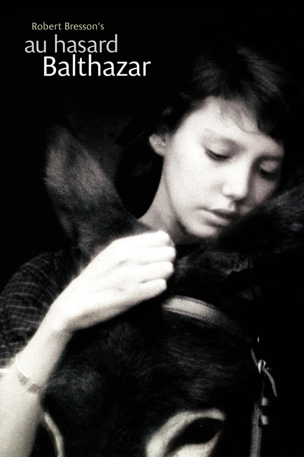 Au hasard, Balthazar poster