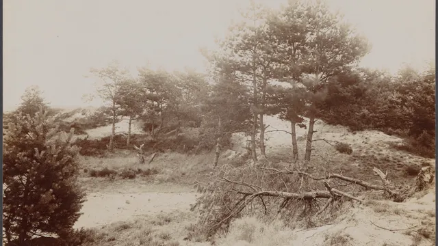 Ouderwetse foto van een zandverstuiving