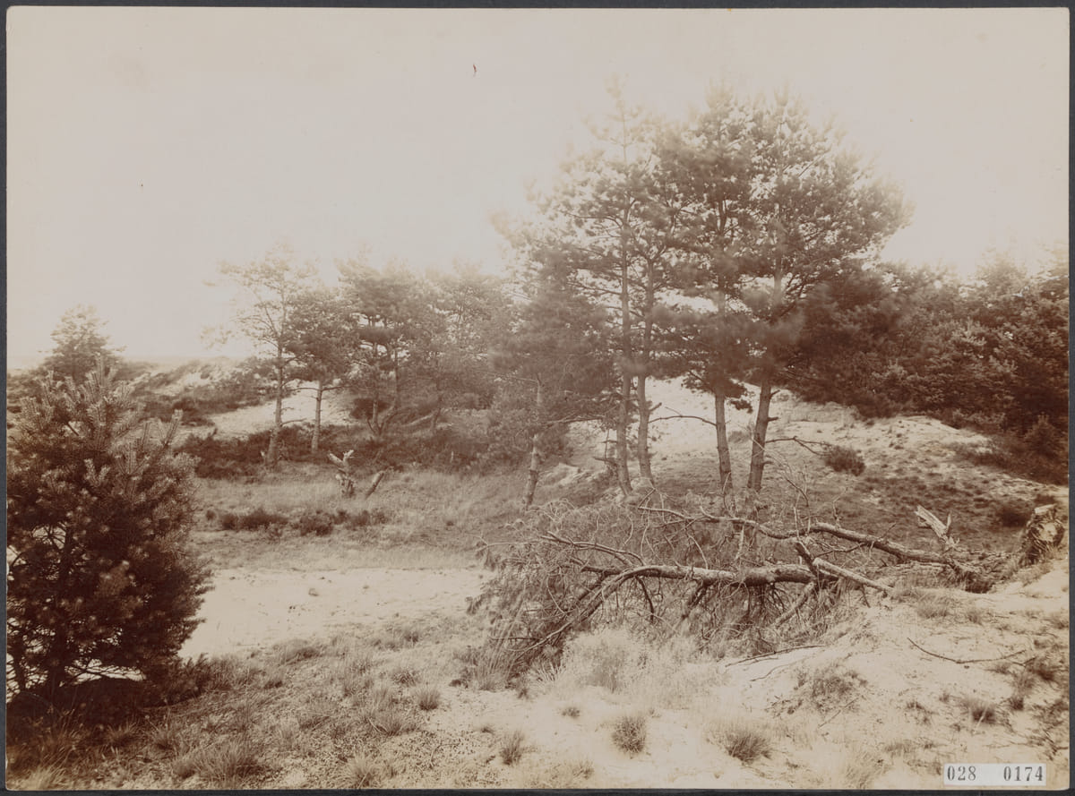 Gevecht tegen het zand