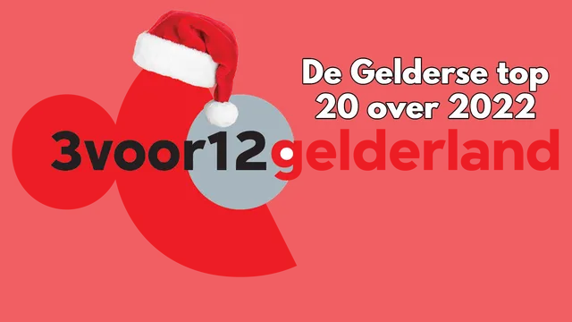 Beste Gelderse release van 2022