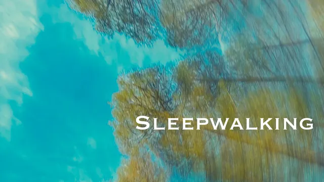 Artwork Wolfgang Cover Sleepwalking