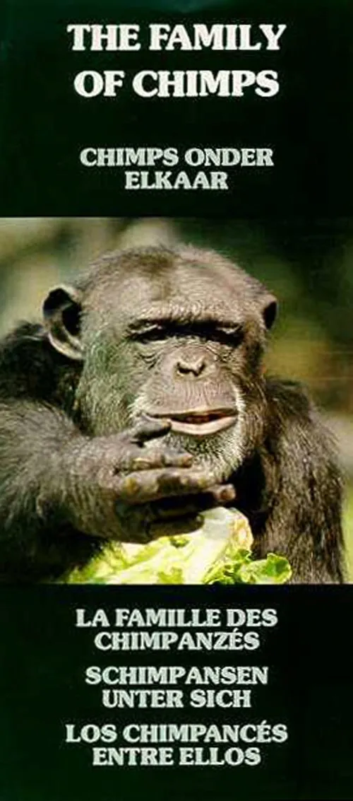 Haanstra: Chimps onder elkaar poster