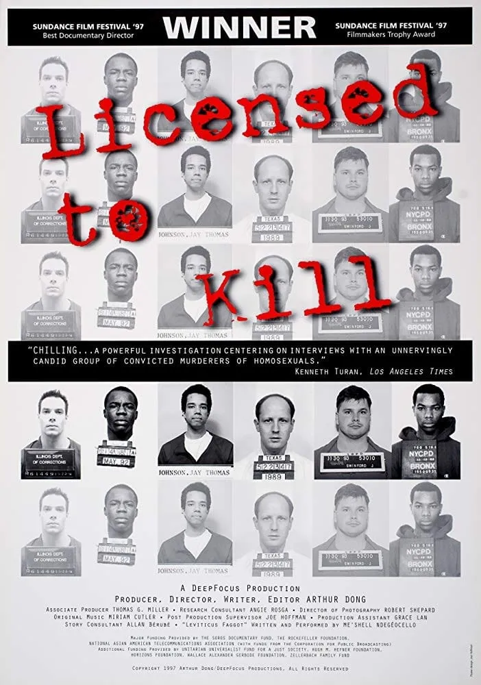 P.O.V. - Licensed to Kill poster