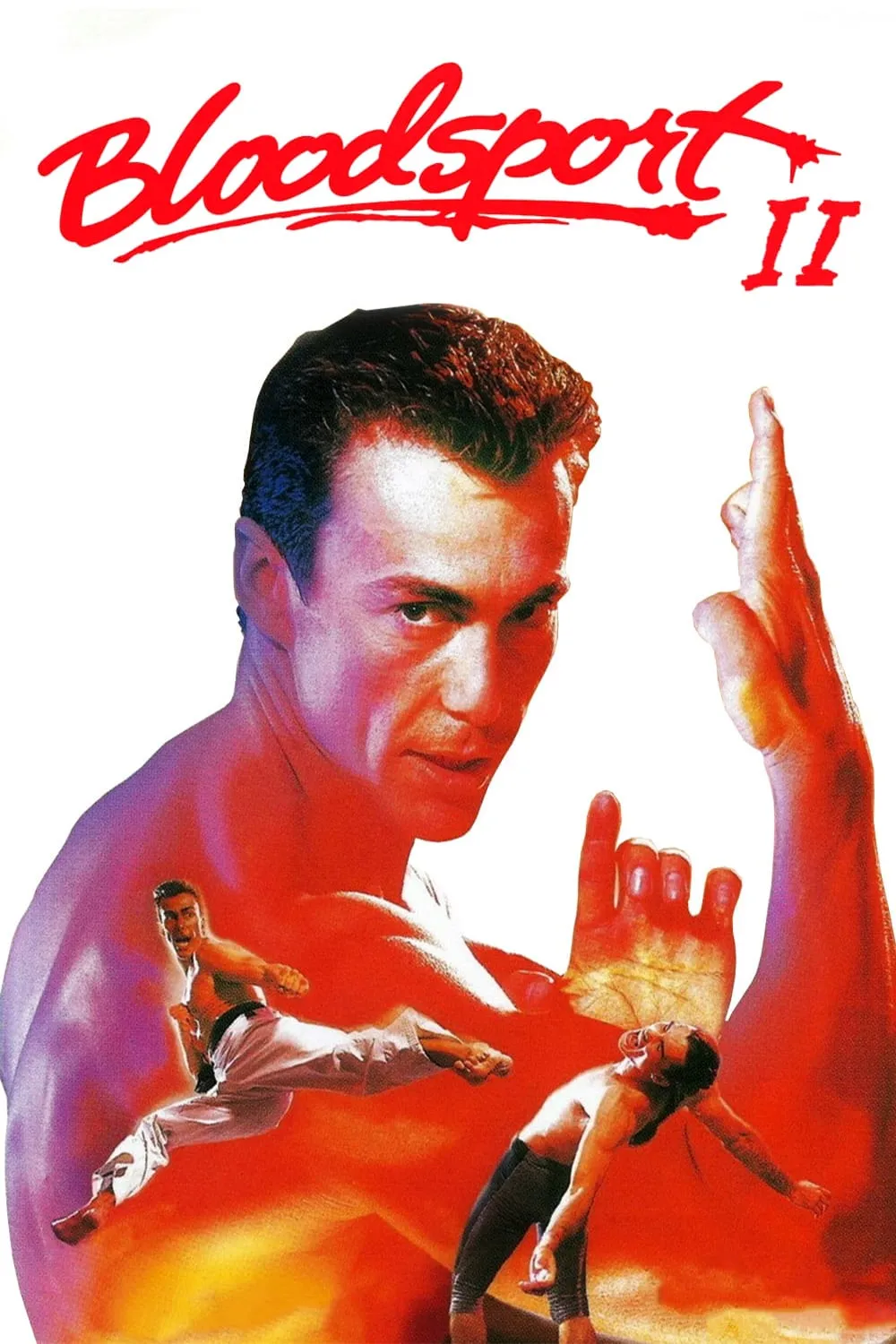Bloodsport 2: The Next Kumite poster