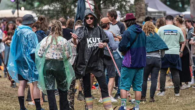 Down The Rabbit Hole