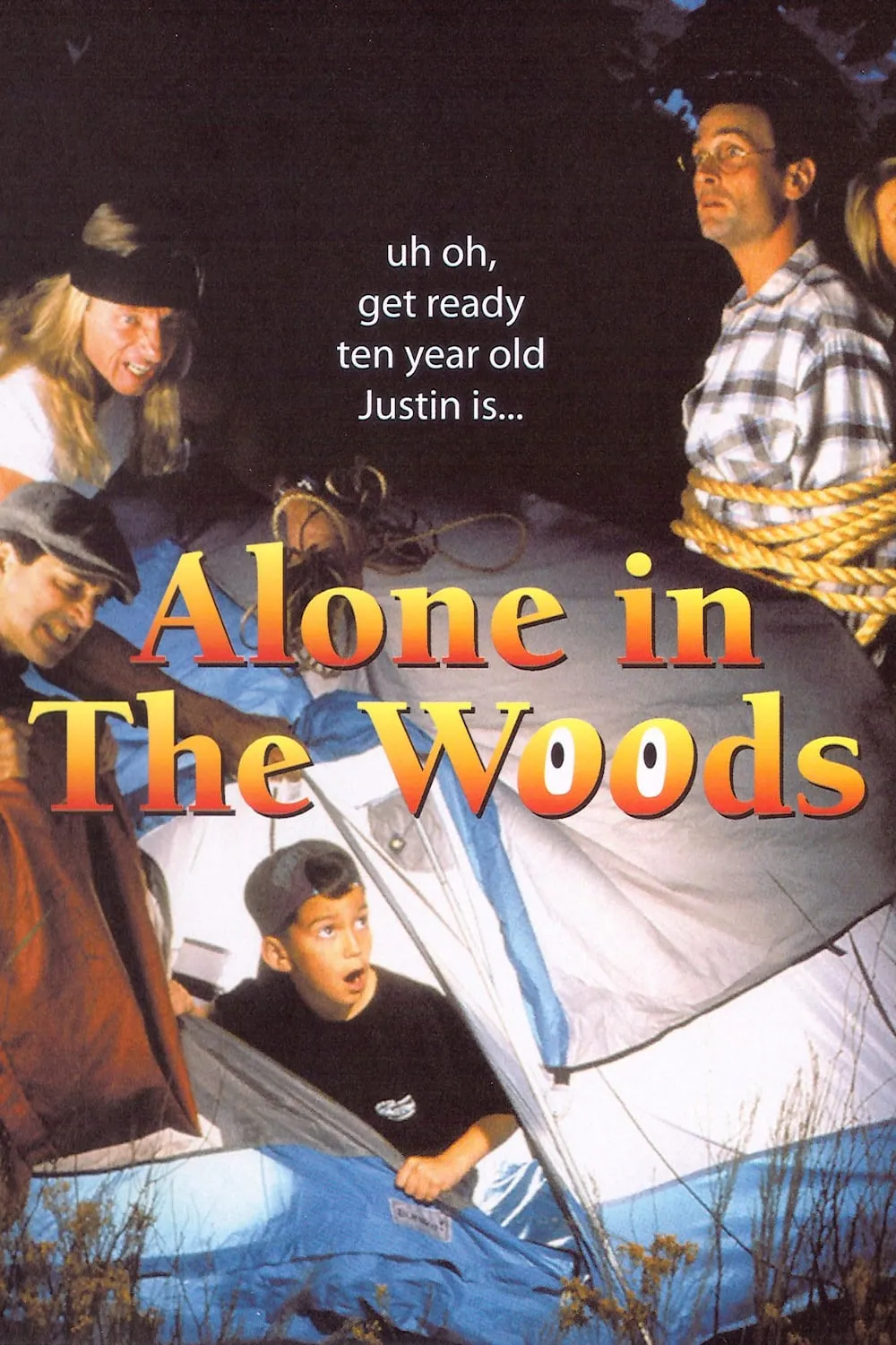 Alone In The Woods poster