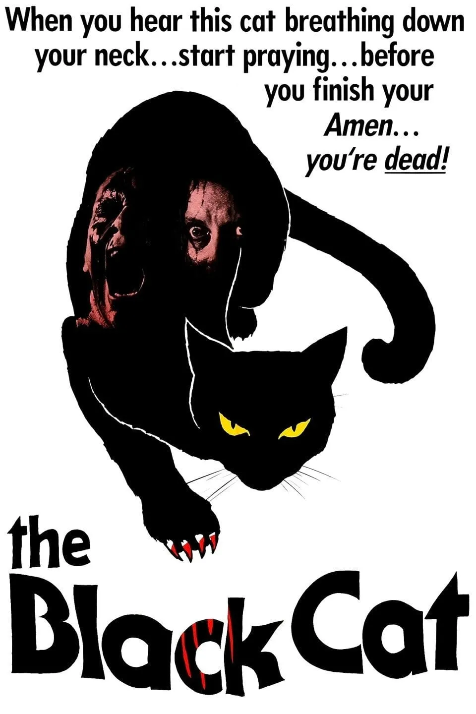 Il Gatto nero poster