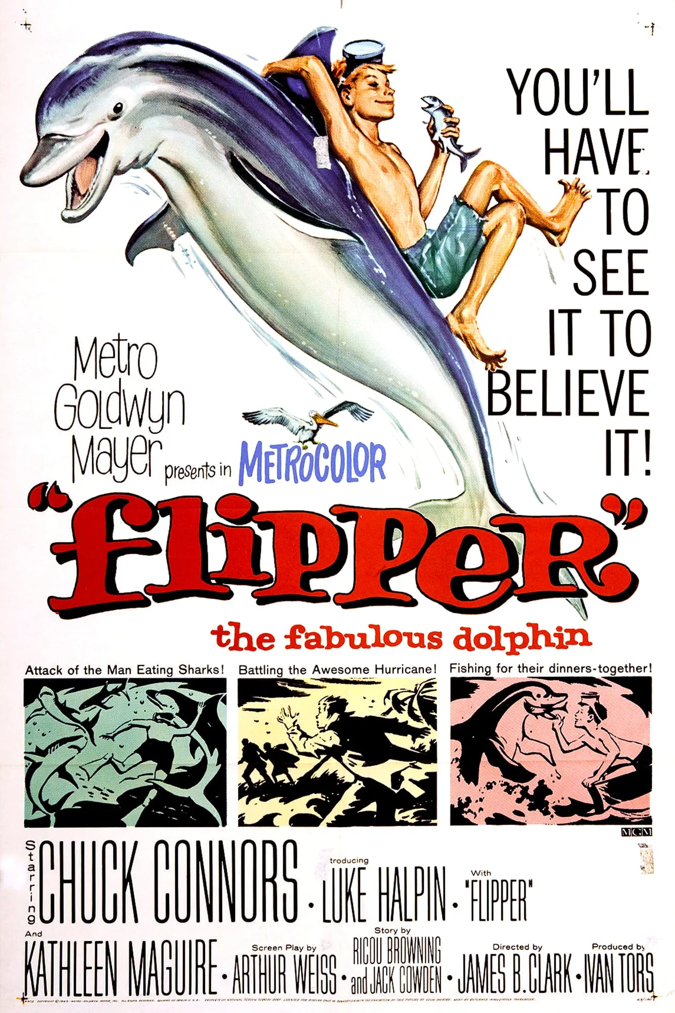 Flipper poster