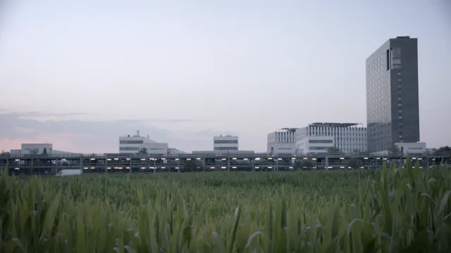 asml gebouw