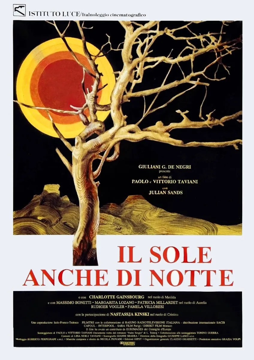 Il sole anche di notte poster
