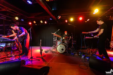 Głupi Komputer, Peel Slowly and See 2026