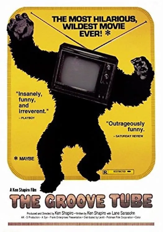 The Groove Tube poster